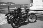 img043.jpg