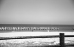 img049.jpg