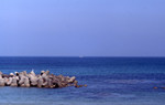 img072.jpg