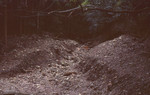 img083.jpg