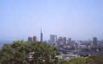 img084.jpg