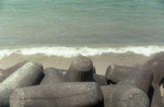 img139.jpg