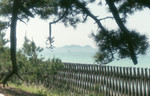 img140.jpg
