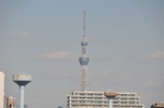 DSC_0362.JPG