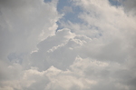 DSC_0541.JPG